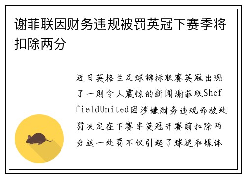 谢菲联因财务违规被罚英冠下赛季将扣除两分